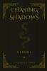 Chasing Shadows
