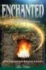 Enchanted A Tale of Remembrance