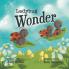 Ladybug Wonder