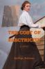 The Cost of Electricity a Novel