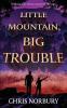 LITTLE MOUNTAIN BIG TROUBLE