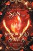 Son of Shattered Souls