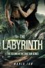 The Labyrinth