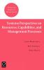 Systems Perspectives on Resources Capabilities and Management Processes