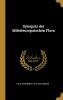 Synopsis der Mitteleuropaischen Flora