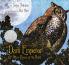 DARK EMPEROR AND OTHER POEMS OF THE NIGHT (A NEWBERY HONOR A