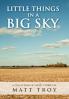 Little Things In a Big Sky