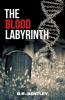 Blood Labyrinth