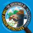 Adventures Of The Junior Detectives