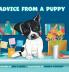 Advice from a Puppy
