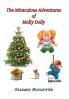 Miraculous Adventures of Molly Dolly