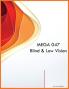 MEGA 047 Blind & Low Vision