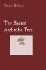 Sacred Andiroba Tree