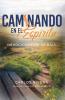 Caminando en el Espìritu