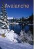 Avalanche