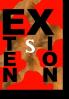Extension