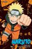 Naruto (3-In-1 Edition) Vol. 13
