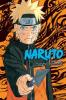 Naruto (3-In-1 Edition) Vol. 14