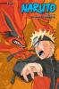 Naruto (3-In-1 Edition) Vol. 17