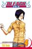 Bleach Vol. 4