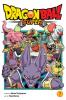 Dragon Ball Super Vol. 7
