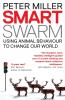 Smart Swarm