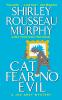 Cat Fear No Evil