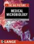 Medical Microbiology