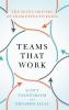 Teams That Work