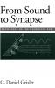 From Sound to Synapse