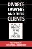 Divorce Lawyers and Their Clients