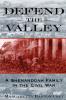Defend the Valley