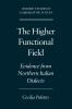 The Higher Functional Field