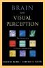 Brain and Visual Perception
