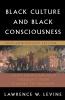 Black Culture and Black Consciousness