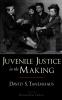 Juvenile Justice in the Making
