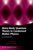 Many-Body Quantum Theory in Condensed Matter Physics