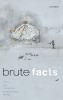 Brute Facts
