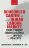 Scheduled Castes in the Indian Labour Market