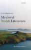 Irish Influence on Medieval Welsh Literature