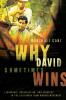 Why David Sometimes Wins