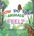 How Do The Animals Feel?