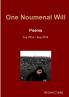 One Noumenal Will