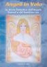 Angeli in Volo