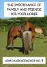 The Importance Of Family And Friends For Your Horse - Armchair Workshop No5
