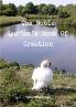 Noble Qur'an's Book Of Creation