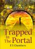 Trapped in the Portal