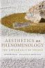 Aesthetics as Phenomenology