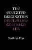 Educated Imagination