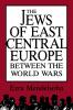 Jews of East Central Europe Between the World Wars